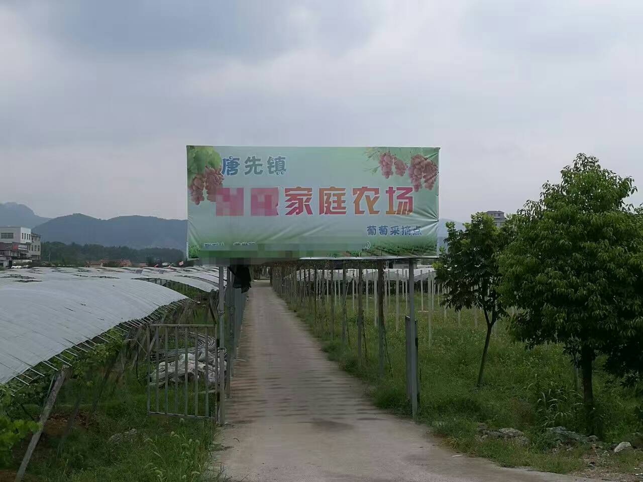 釀酒用蒸汽發(fā)生器 釀酒用蒸汽發(fā)生器